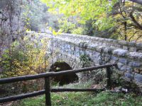 Γεφύρι προς την Μονή Κερνίτσας- Νυμφασία