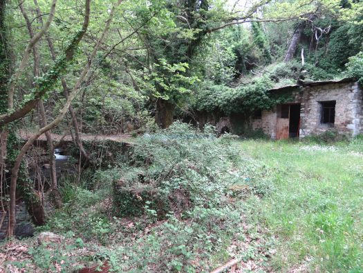 Old Water Mill - Likossoura - Arkadia