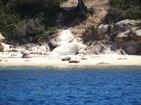 Μικρή παραλία στο νησάκι ’γιος Ισίδωρος στη Βουρβουρού Χαλκιδικής
