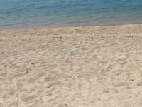 Η παραλία Τριστινικούδα, ανάμεσα στην Τριστινίκα και την Τορώνη στη Σιθωνία