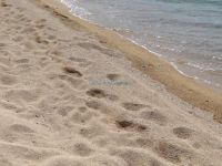 Thick sand and crystal clear waters on the beach of Toroni on the 2nd leg of Chalkidiki