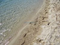 Λεπτομέρεια από την παραλία Λαγονήσι στη Βουρβουρού Χαλκιδικής