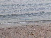Λεπτομέρεια από την παραλία Καρύδι στη Βουρβουρού Σιθωνίας