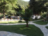 Grass and trees at the camping Akti Oneirou in Sithonia