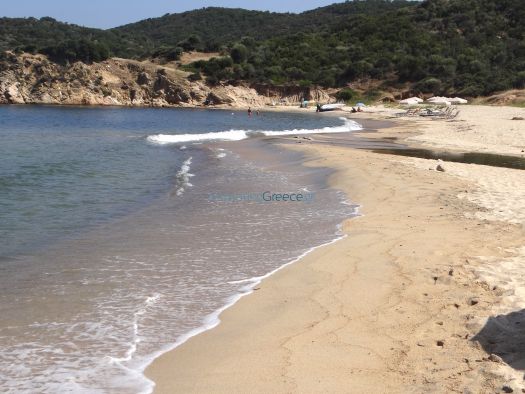 Η παραλία στον οικισμό Πλατάνια με ψιλή άμμο και μεγάλη έκταση