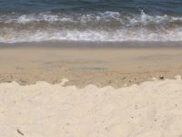 Ψιλή άμμος και καθαρά νερά στην παραλία Πλατάνια μετά τη Σάρτη στη Σιθωνία
