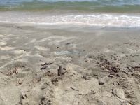 Fine sand on the beach Valti close to Sykia in Sithonia, Chalkidiki