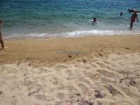 Η μαγευτική παραλία στο Κριαρίτσι, ανάμεσα στη Συκιά και το Καλαμίτσι, στο 2ο πόδι της Χαλκιδικής