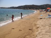 The long beach Kriaritsi is located on the east side of Sithonia
