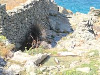 Cyclades - Folegandros - Sillaka Spring