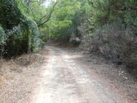 Hleia - Route Kotili to Epikourios Apollon