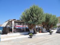 Cyclades - Kythnos - Merichas - Avra tavern