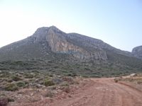 Lakonia - Vies - Agios Nikolaos - Creeper Field Chionis