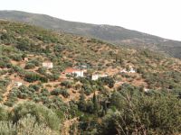 Lakonia - Vies - Agios Mamas