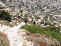 Lesser Cyclades - Iraklia  - Path 2