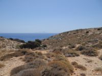 Lesser Cyclades - Donoussa - Paths Meeting Point