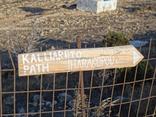 Lesser Cyclades - Koufonissi - Kalliari-Charokopou Path