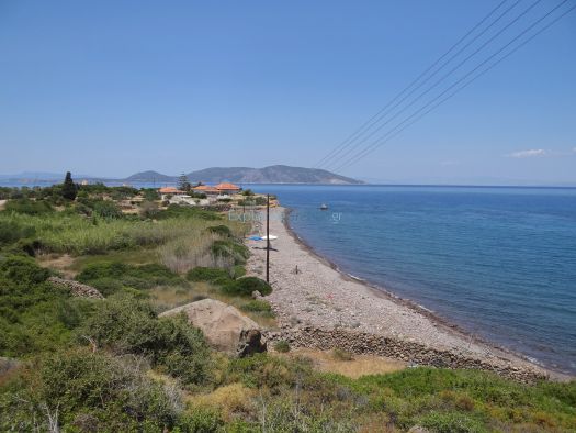 Methana - Agios Georgios - Beach