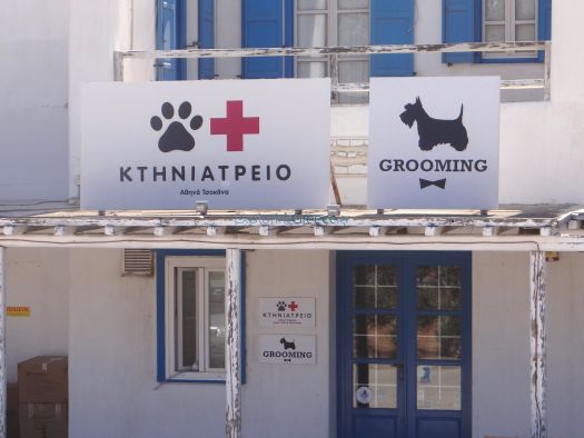 Mykonos- Veterinary Clinic
