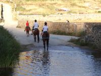 Cyclades - Mykonos - Horseback Riding