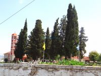 Cypress trees in front of the church in the village Pontismeno in Serres