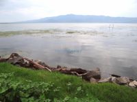 Ως υδροβιότοπος διεθνούς σημασίας αναγνωρίζεται ο υδροβιότοπος της λίμνης Κερκίνης