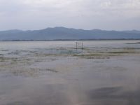 Greek and european laws protect the Kerkini wetland