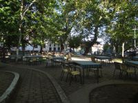 The main square in Ano Poroia, Serres, shaded by plane trees