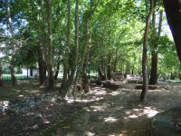 Large plane trees and recreation area in Ano Kastanoussa