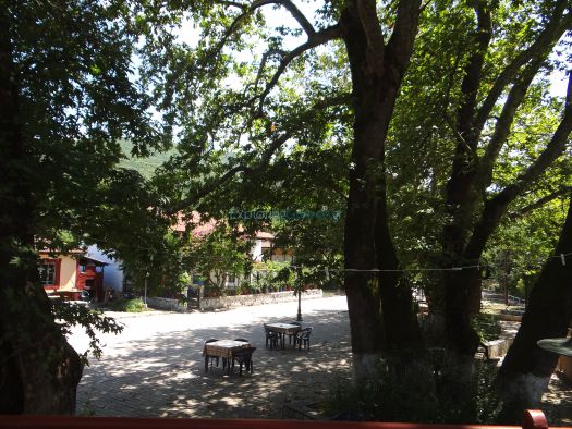 Large square with plane trees in the village Theodoreio in Serres