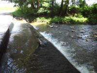 Stream between the villages of Odigitria and Sidirochori