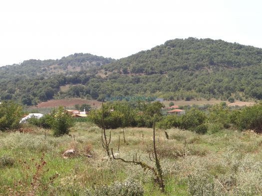 ’ποψη από το χωριό Οδηγήτρια, κοντά στη Ροδόπολη