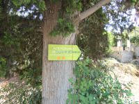 Argosaronikos - Spetses - Path to Profitis Ilias