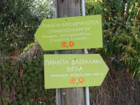 Argosaronikos - Spetses - Three-Way Fork in the Road at Kasteli