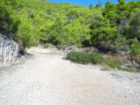 Argosaronikos - Spetses - To Schools Observatory - Three-way Crossing