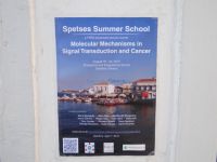 Argosaronikos - Spetses - Schools