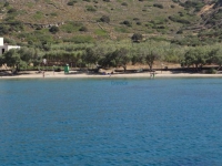 Lotos beach has several trees and shade
