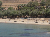 Η παραλία Κόμητο δίπλα στην Ποσειδωνία