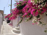 Cyclades - Santorini - Messaria - Dantelo Luxury Private Residences