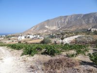 Cyclades - Santorini - Kamari - Argiros Winery - Museum