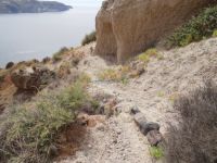 Santorini - Megalochori - Path to Thermi