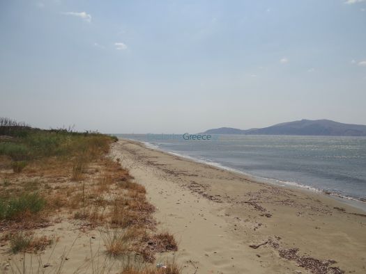 Trizina - Xaravgi Beach