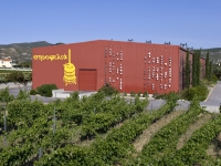 Strofilia winery Anavissos