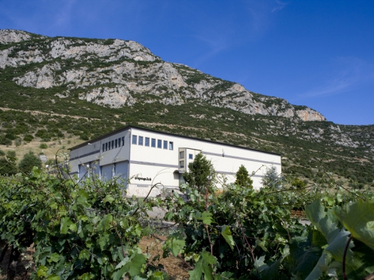 Strofilia winery Asprokabos